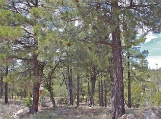 2794 Sky Hawk Dr, Overgaard, AZ 85933