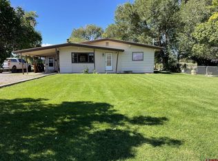 16225 6290th Rd, Montrose, CO 81403