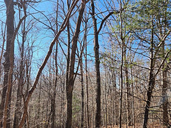 4th image of 20 Devon Loop #20