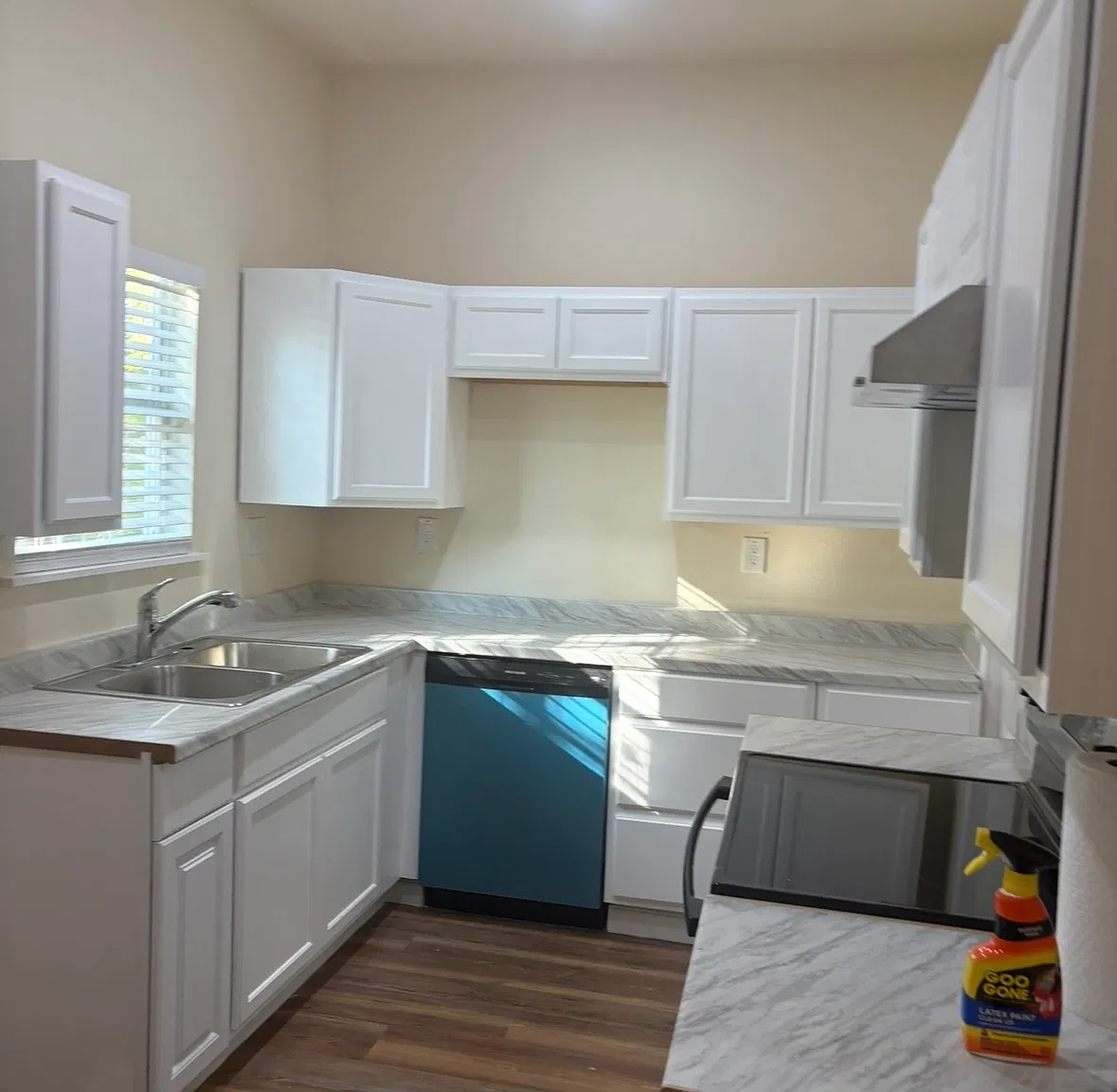 3 bed, 1100 sqft, $1,770 — Photo 3