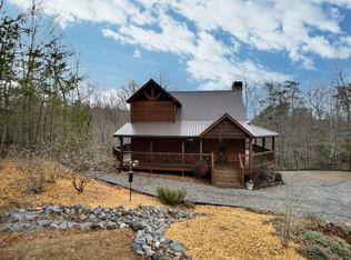 165 Black Gum Ln, Blue Ridge, GA 30513