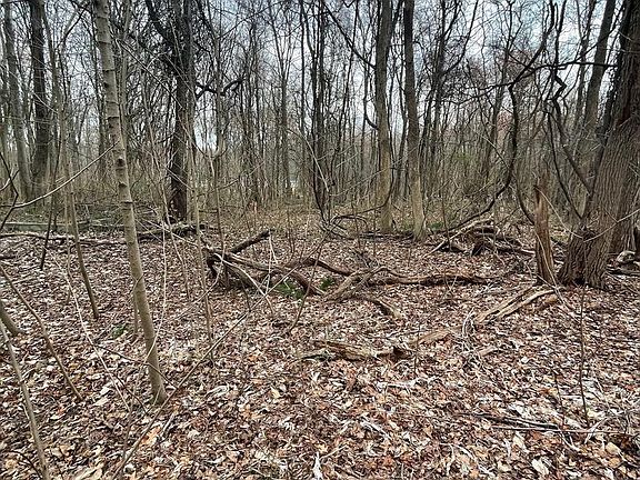 3rd image of Georgetown Rd