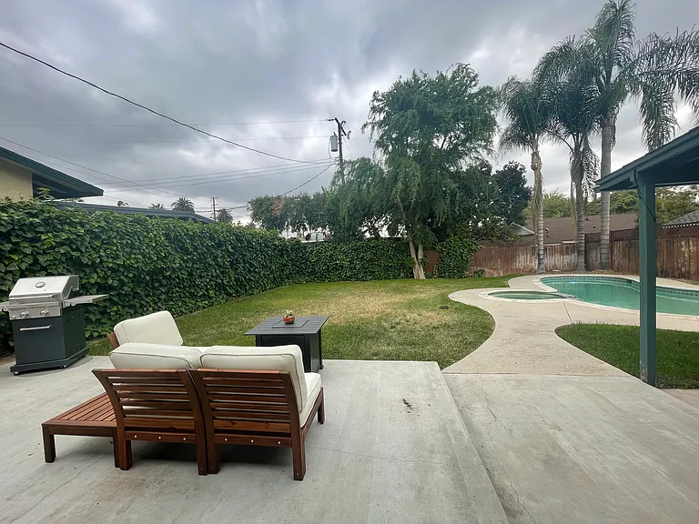 Perfect sanctuary to have coffee and listen to all the birds