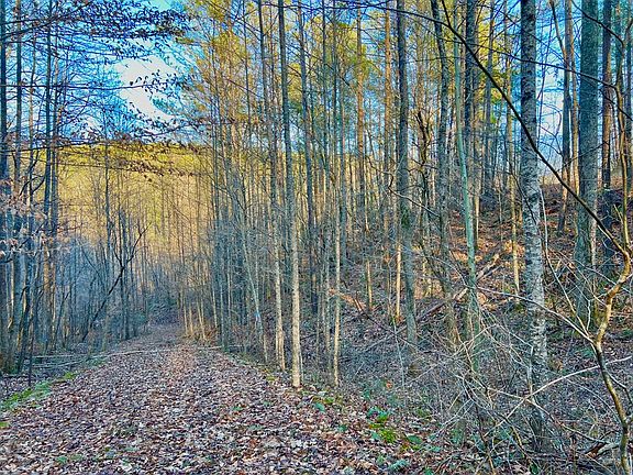 4th image of 53 Mountain Creek Hollow Dr