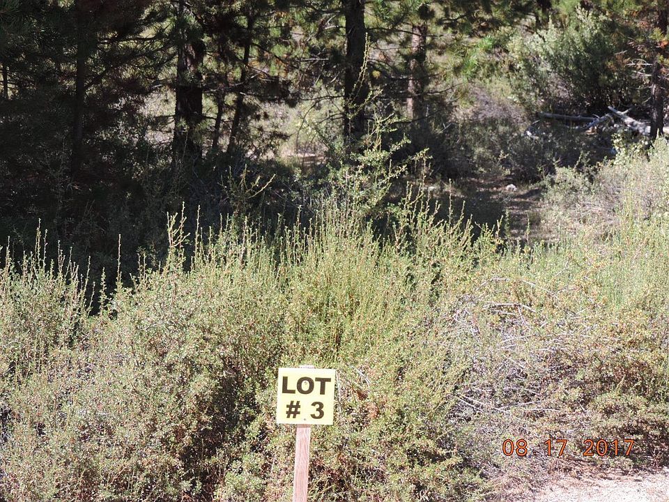 2nd image of 3 Micah Ln