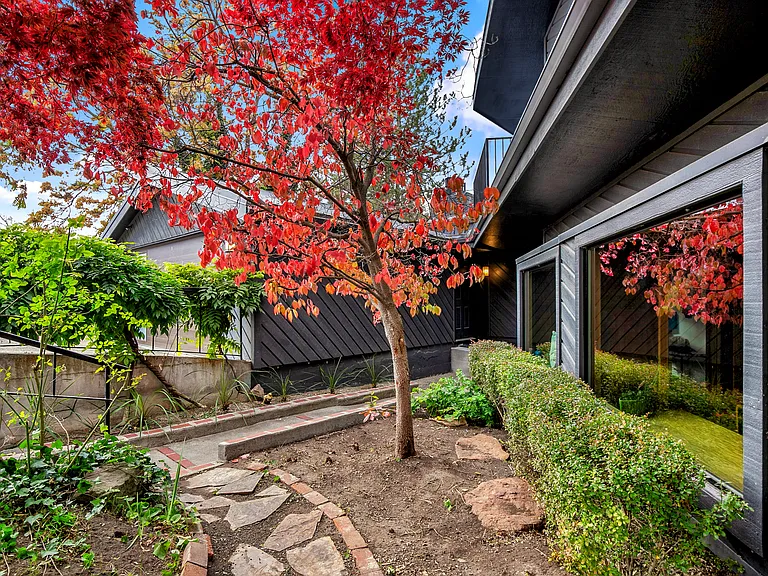 Side yard.