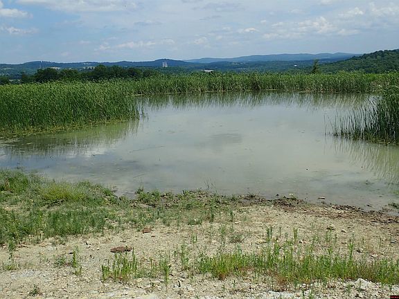 2nd image of 001-08321-000 State Highway 62/412 W