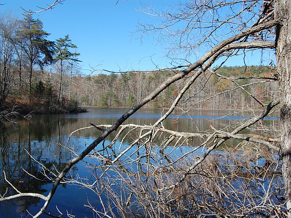 4th image of 199 Sleepy Hollow Rd
