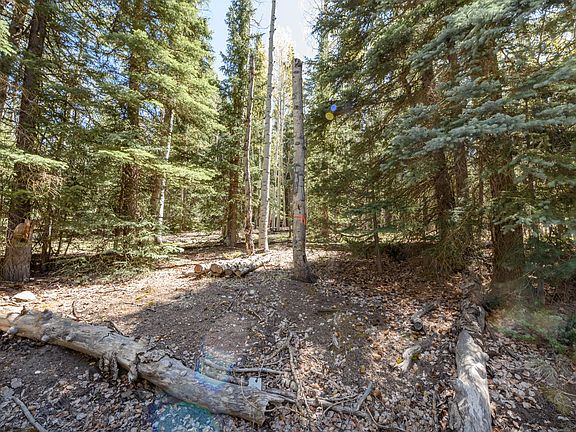 3rd image of W Spruce Rd #36