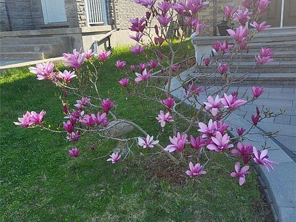 3rd image of 609 Woolgrass Ave