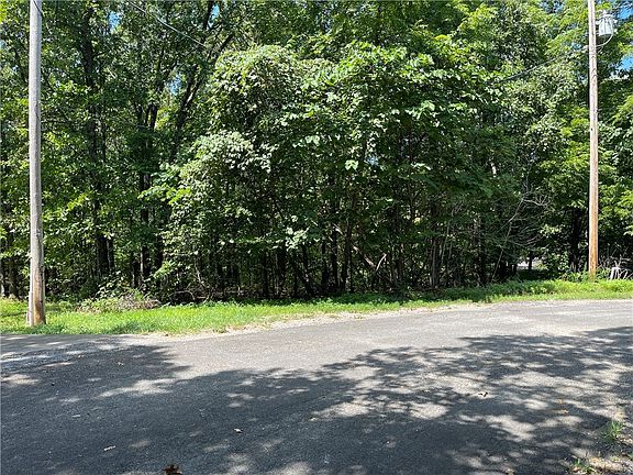 3rd image of Little Borough Ln