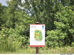 68 Wolfebridge Ln, Asheville, NC 28804