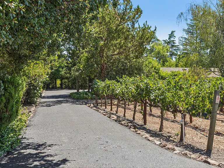 1819 Zinfandel Ln — Photo 79