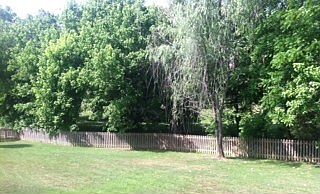 Fenced in back yard by creek