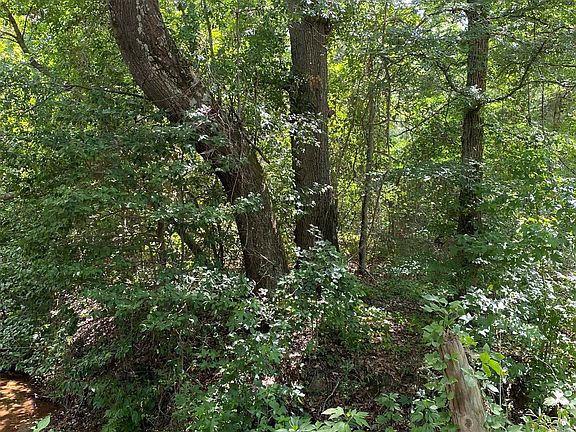 5th image of 6494 County Road 4715
