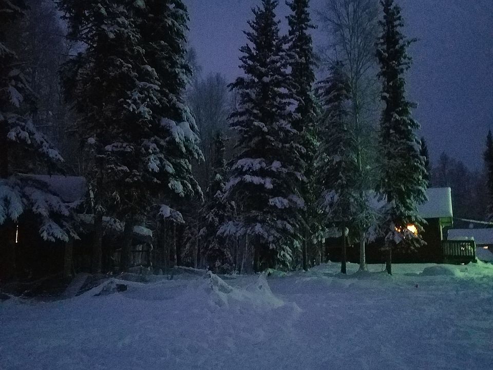 1st image of 4447 Four Paws Ln