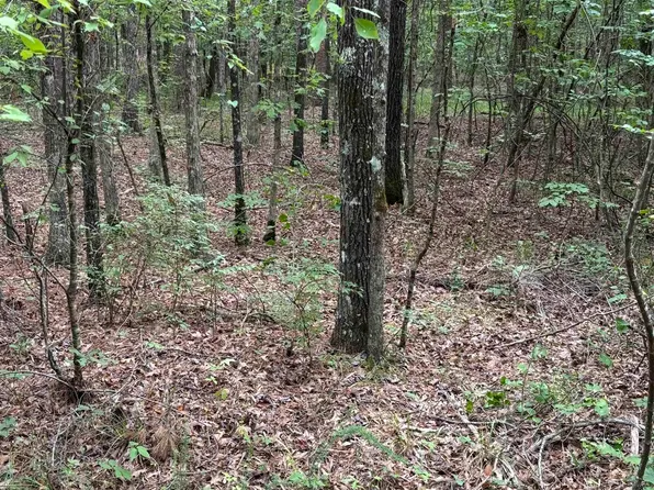 0 Venado Way, Hot Springs Village, AR 71909