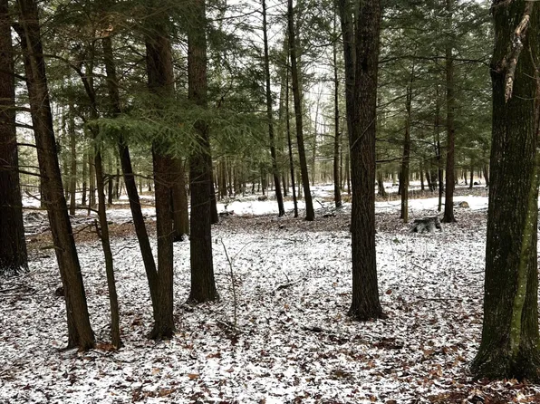 Mount Vista Rd, Mosinee, WI 54455