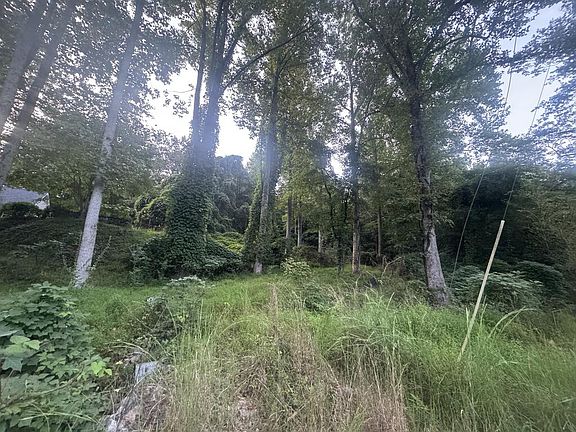 5th image of LOT 53 Circle Dr