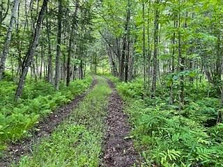 5th image of 1229 County Road 135