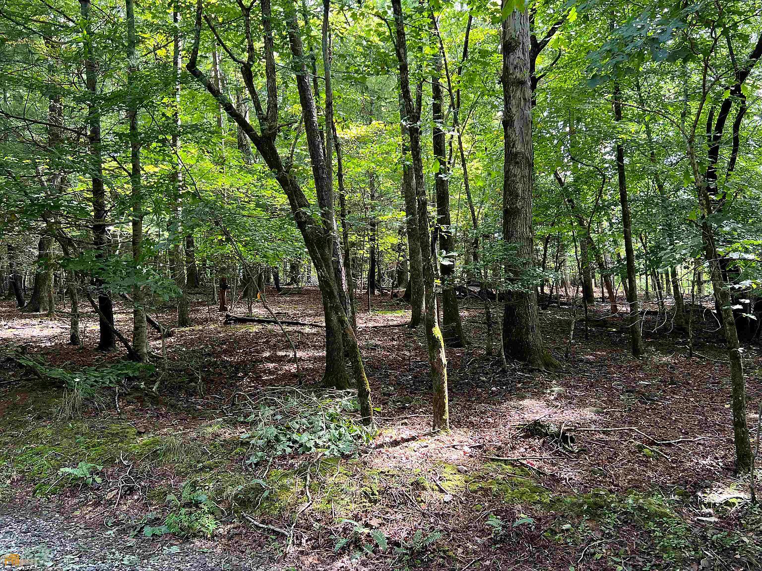 845L Chattahoochee Acres Dr, Cleveland, GA 30528 Zillow