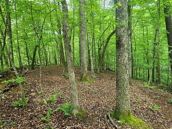 4th image of 0 April Dr Lot 524525