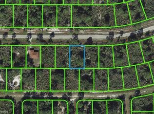 1826 Washington Blvd NW, Lake Placid, FL 33852