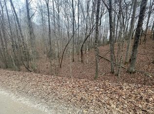 LOT 1456 Pasha Dr, Ellijay, GA 30540