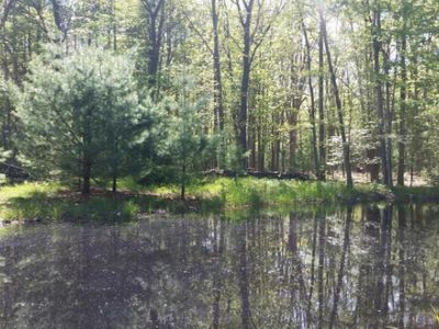 12th St, Pentwater, MI, 49449