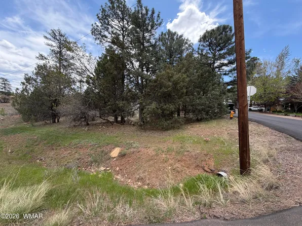 261 S 1st Dr, Show Low, AZ 85901