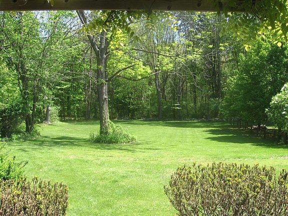 View of Rear Yard From patio