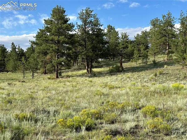 208 Ranch Resorts Dr, Florissant, CO 80816