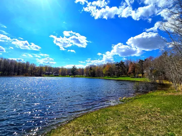 257 Sunridge Dr, Elmira, MI 49730