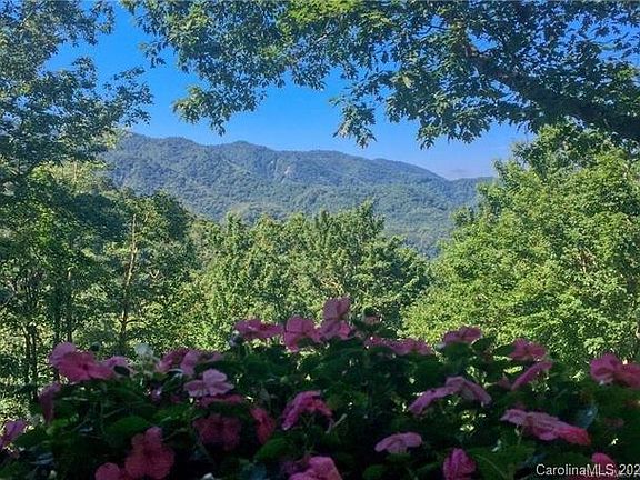 3rd image of 254 Picnic Gap
