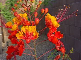 13829 E Poelstra St, Vail, AZ 85641