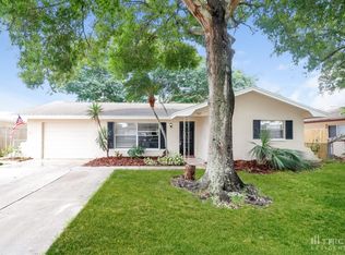 707 Lemonwood Dr, Oldsmar, FL 34677