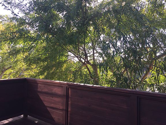 Private Deck off Dining Room