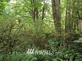 2nd image of 0 Hume Lane NE