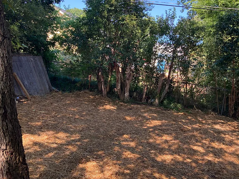 323 D St — Photo 42