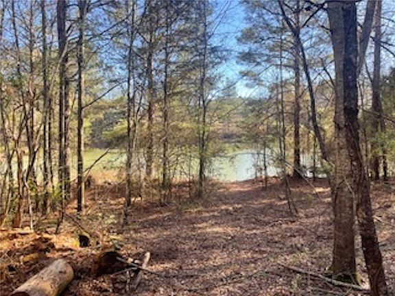 2nd image of 0 Toccoa Hwy