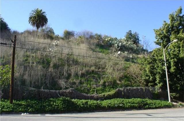 1st image of 1141 Paraiso St