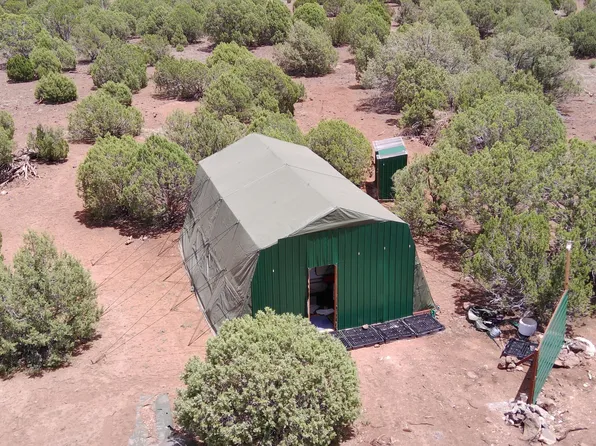 8113 Colt Ln, Show Low, AZ 85901