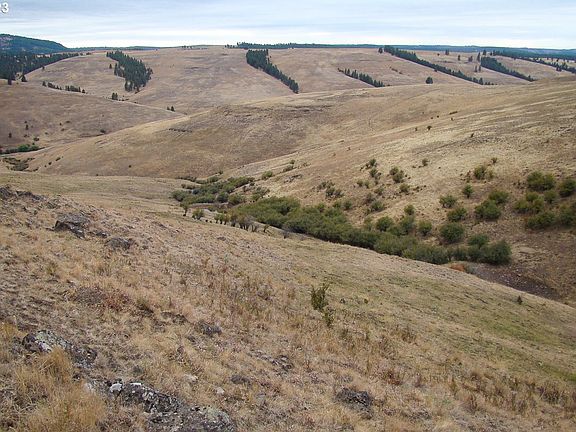 2nd image of 0 Lewis Rd