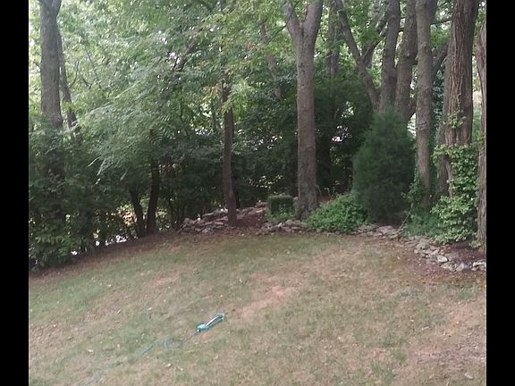 Front yard 