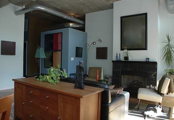 Living Space. Fireplace.