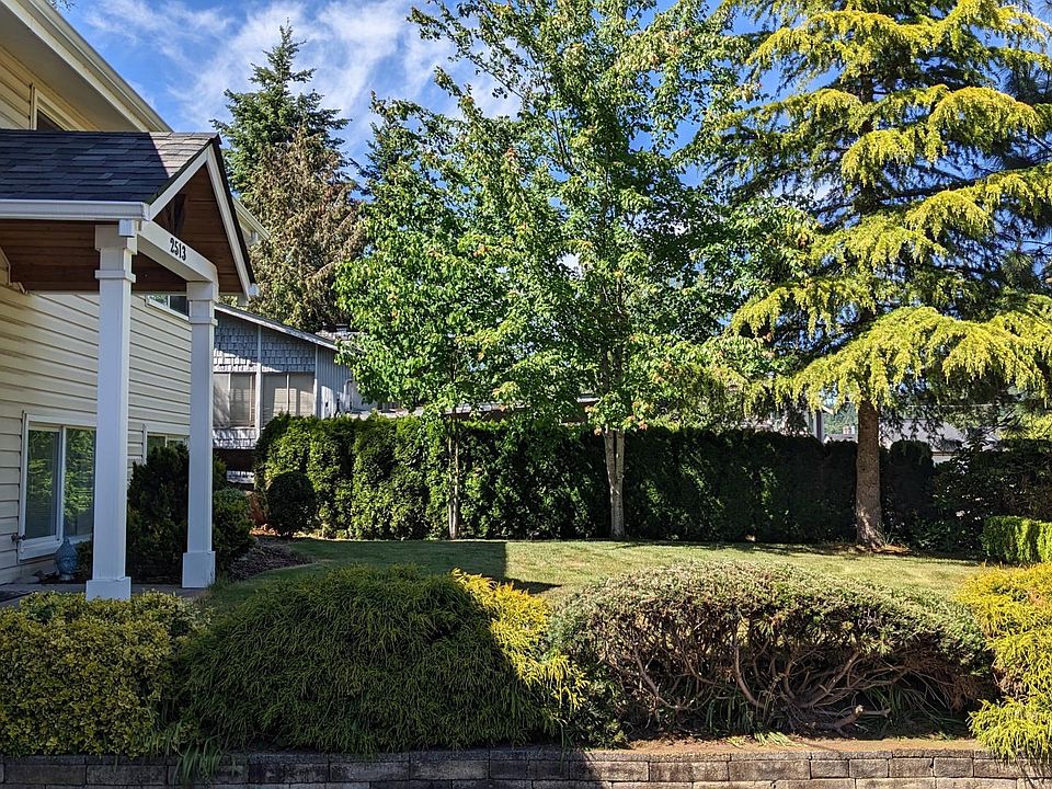 Front yard and entrance