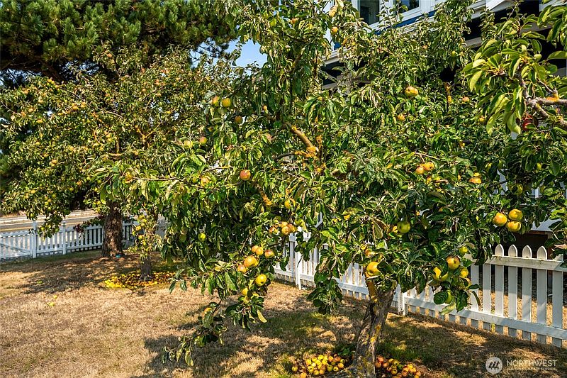 4th image of 3962 Saltspring Drive