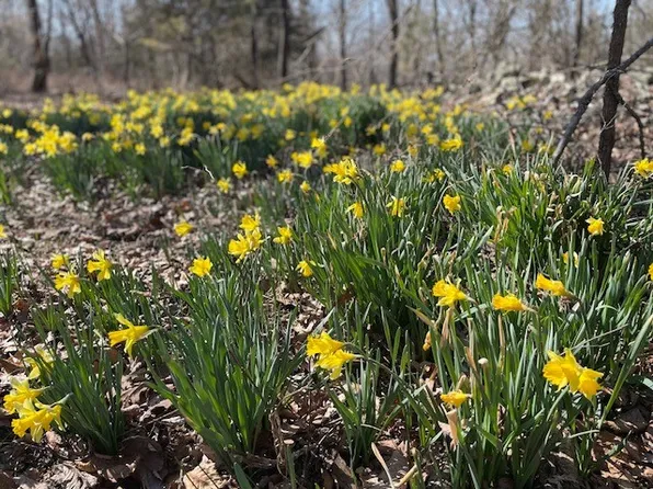 17677 Brentwood Mountain Rd, Winslow, AR 72959