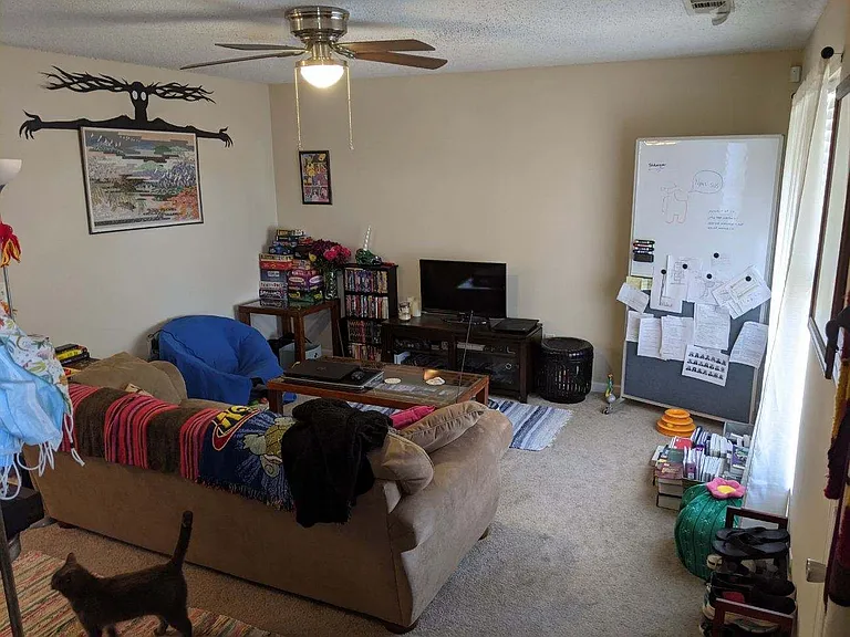 209 Bridgewater Cir — Photo 3