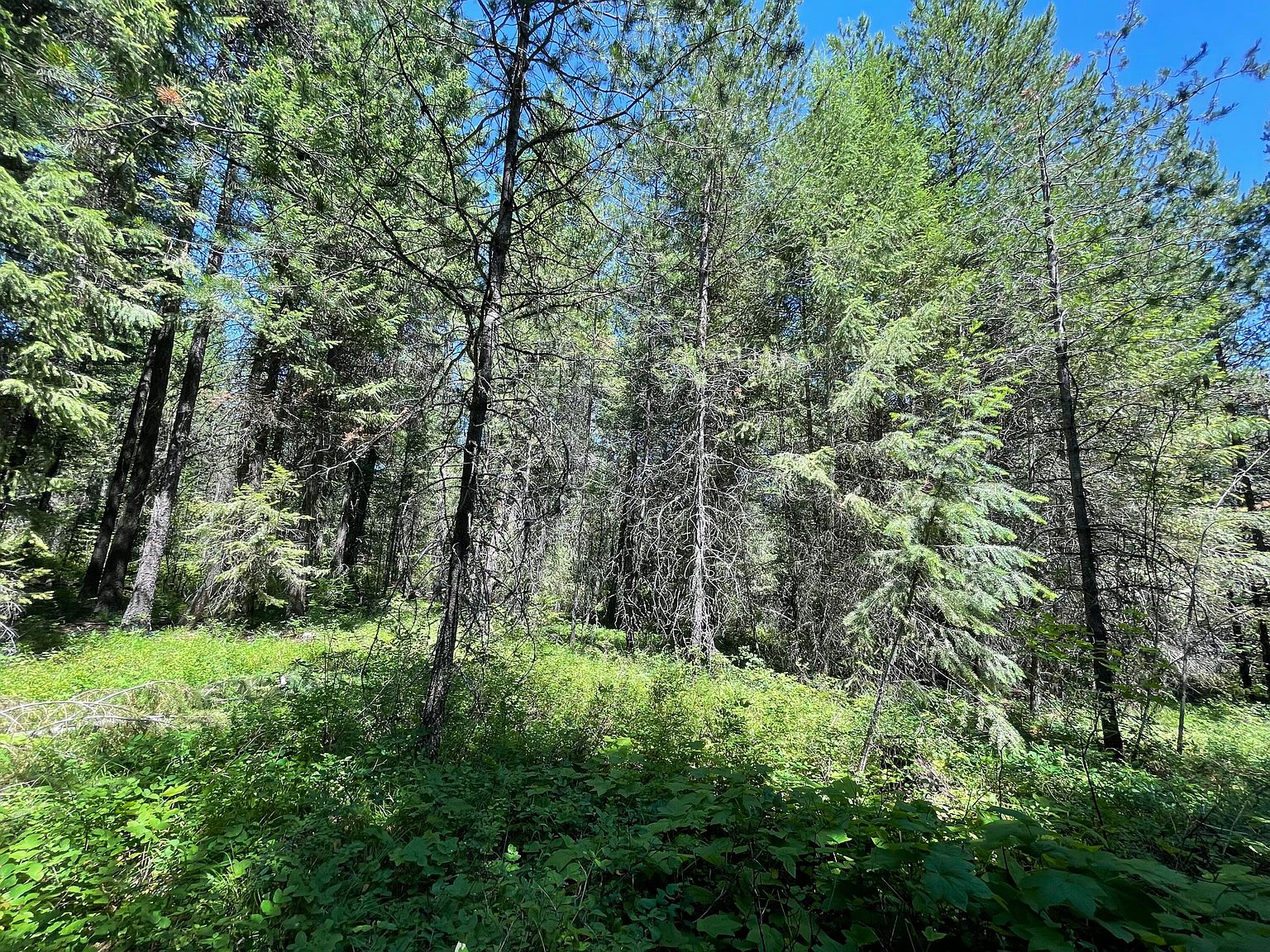 4711 Springdale Hunters Rd, Springdale, WA 99173 Zillow